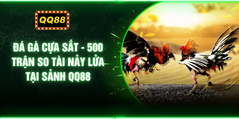 Đá Gà Cựa Sắt - 500 Trận So Tài Nảy Lửa Tại Sảnh QQ88